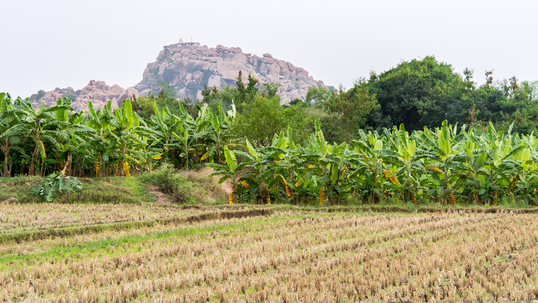 India 2014 - Hampi 096.jpg